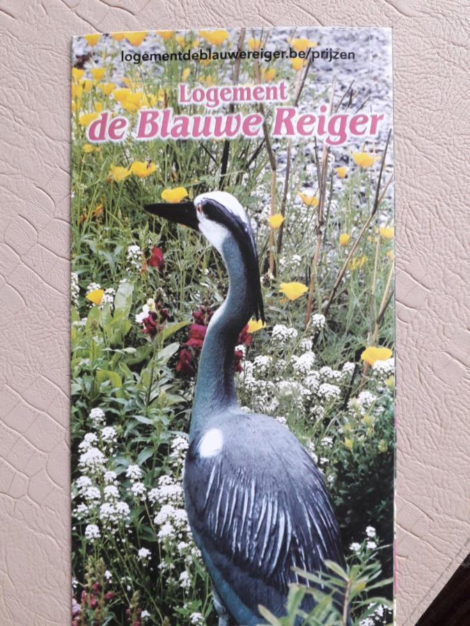Logement De Blauwe Reiger 富伦 外观 照片
